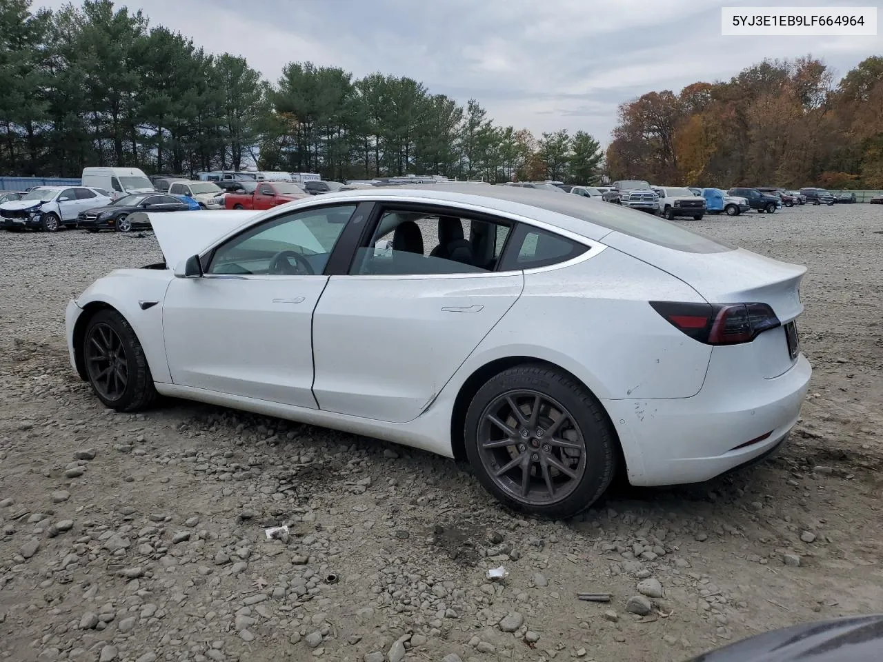 2020 Tesla Model 3 VIN: 5YJ3E1EB9LF664964 Lot: 78205344