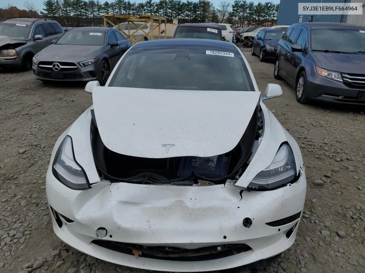 2020 Tesla Model 3 VIN: 5YJ3E1EB9LF664964 Lot: 78205344