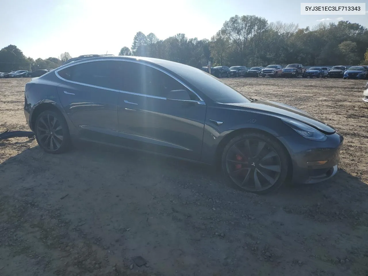 2020 Tesla Model 3 VIN: 5YJ3E1EC3LF713343 Lot: 79251384