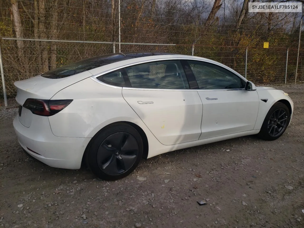 2020 Tesla Model 3 VIN: 5YJ3E1EA1LF785124 Lot: 79948434