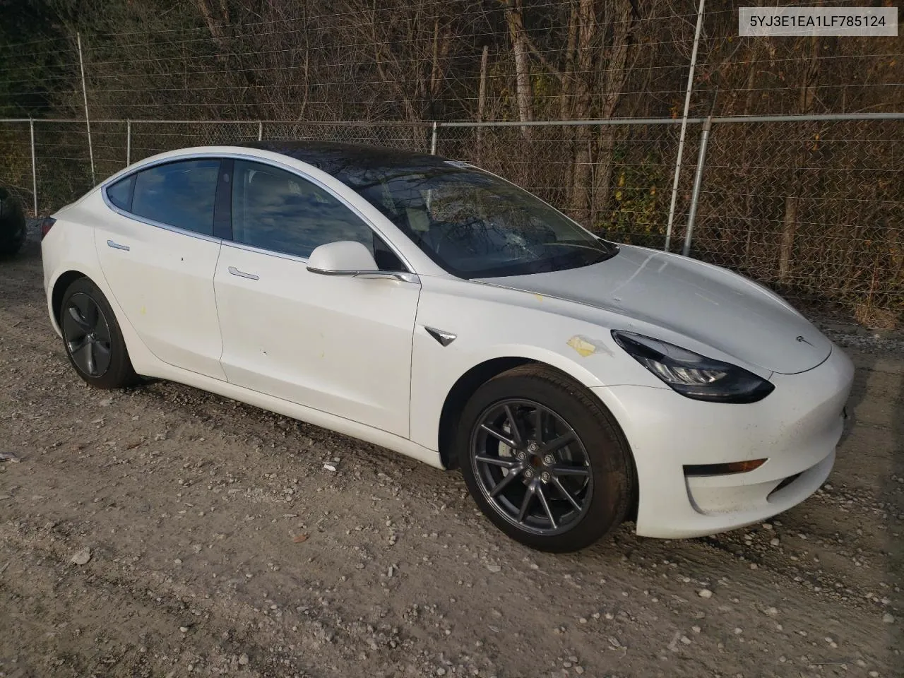 2020 Tesla Model 3 VIN: 5YJ3E1EA1LF785124 Lot: 79948434