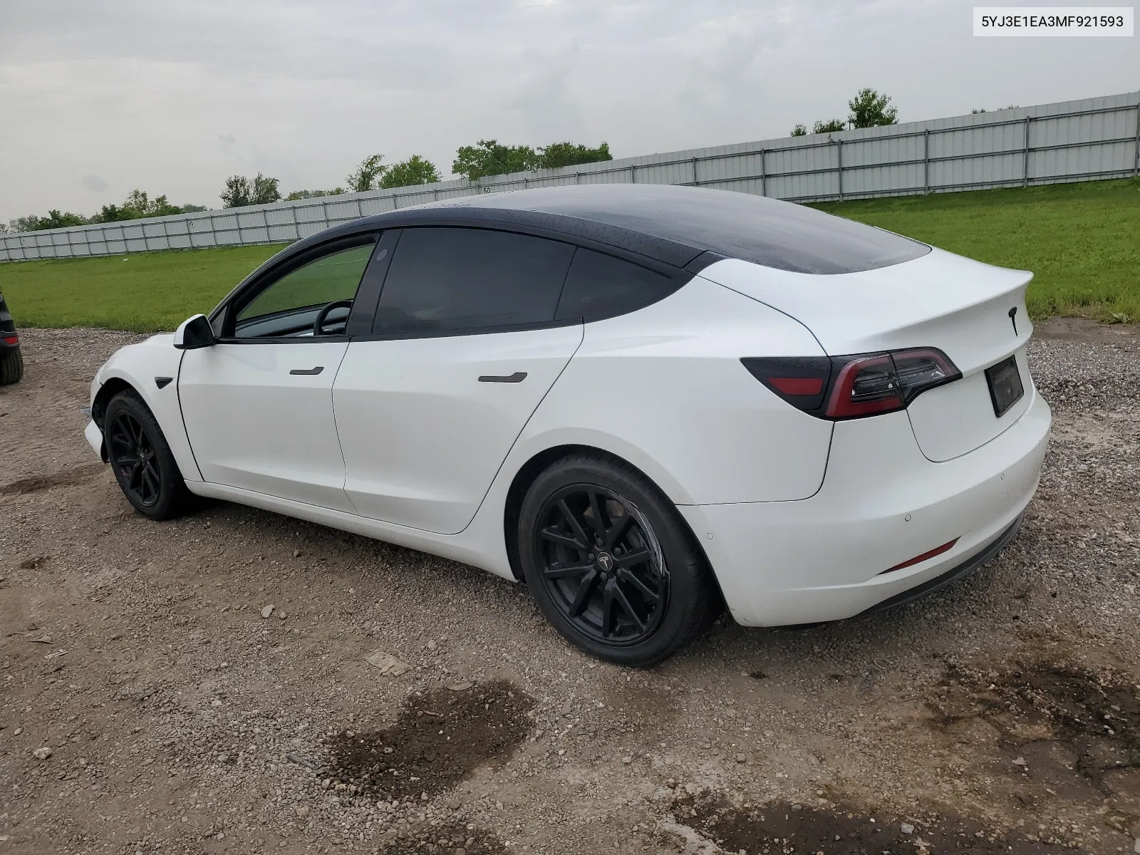 2021 Tesla Model 3 VIN: 5YJ3E1EA3MF921593 Lot: 62617114