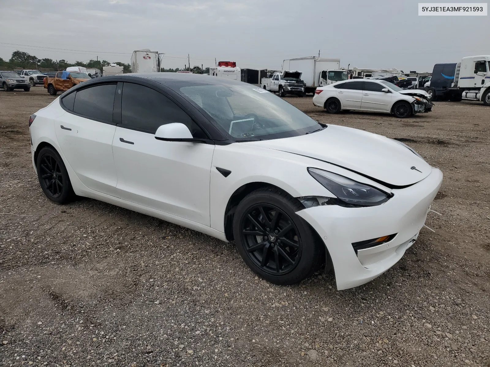 2021 Tesla Model 3 VIN: 5YJ3E1EA3MF921593 Lot: 62617114