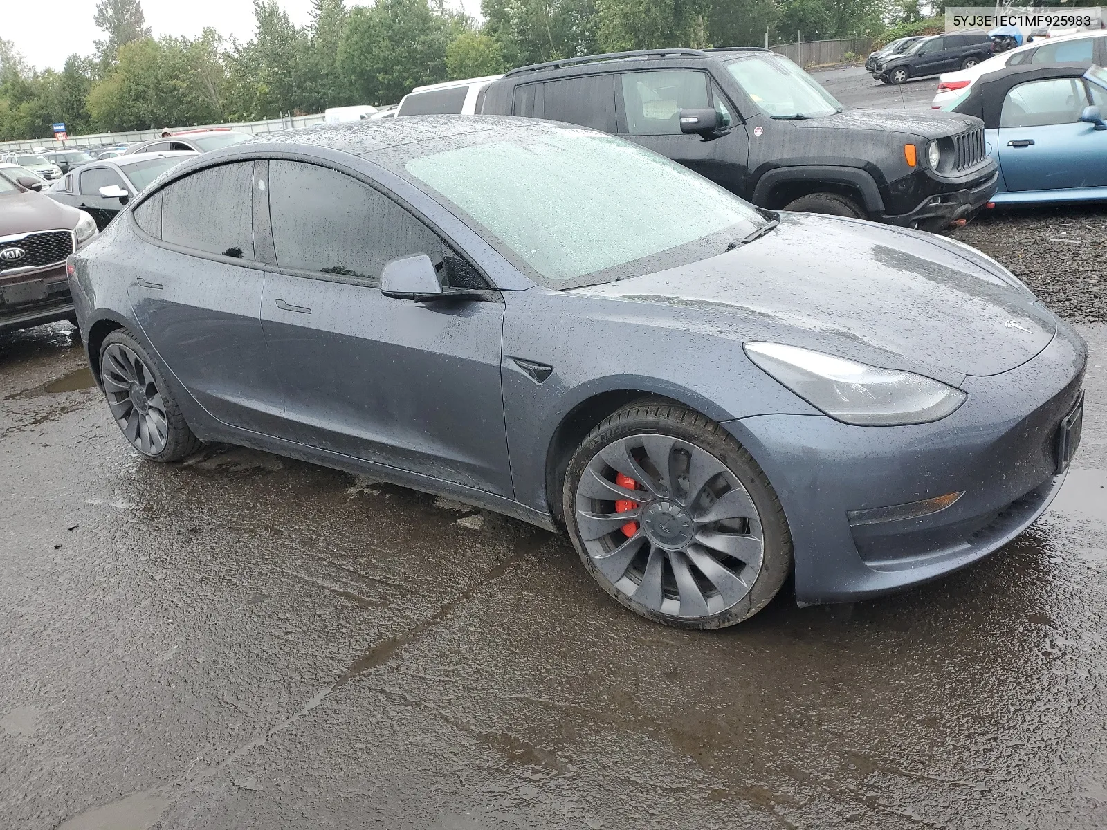 2021 Tesla Model 3 VIN: 5YJ3E1EC1MF925983 Lot: 64102194