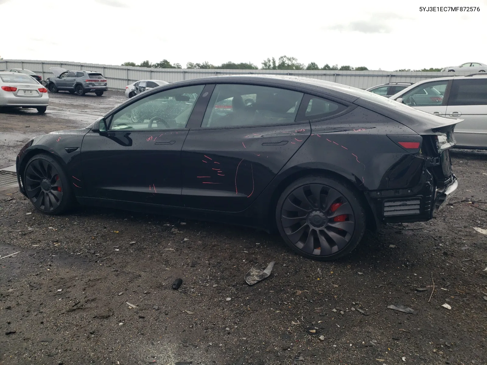 2021 Tesla Model 3 VIN: 5YJ3E1EC7MF872576 Lot: 65185914