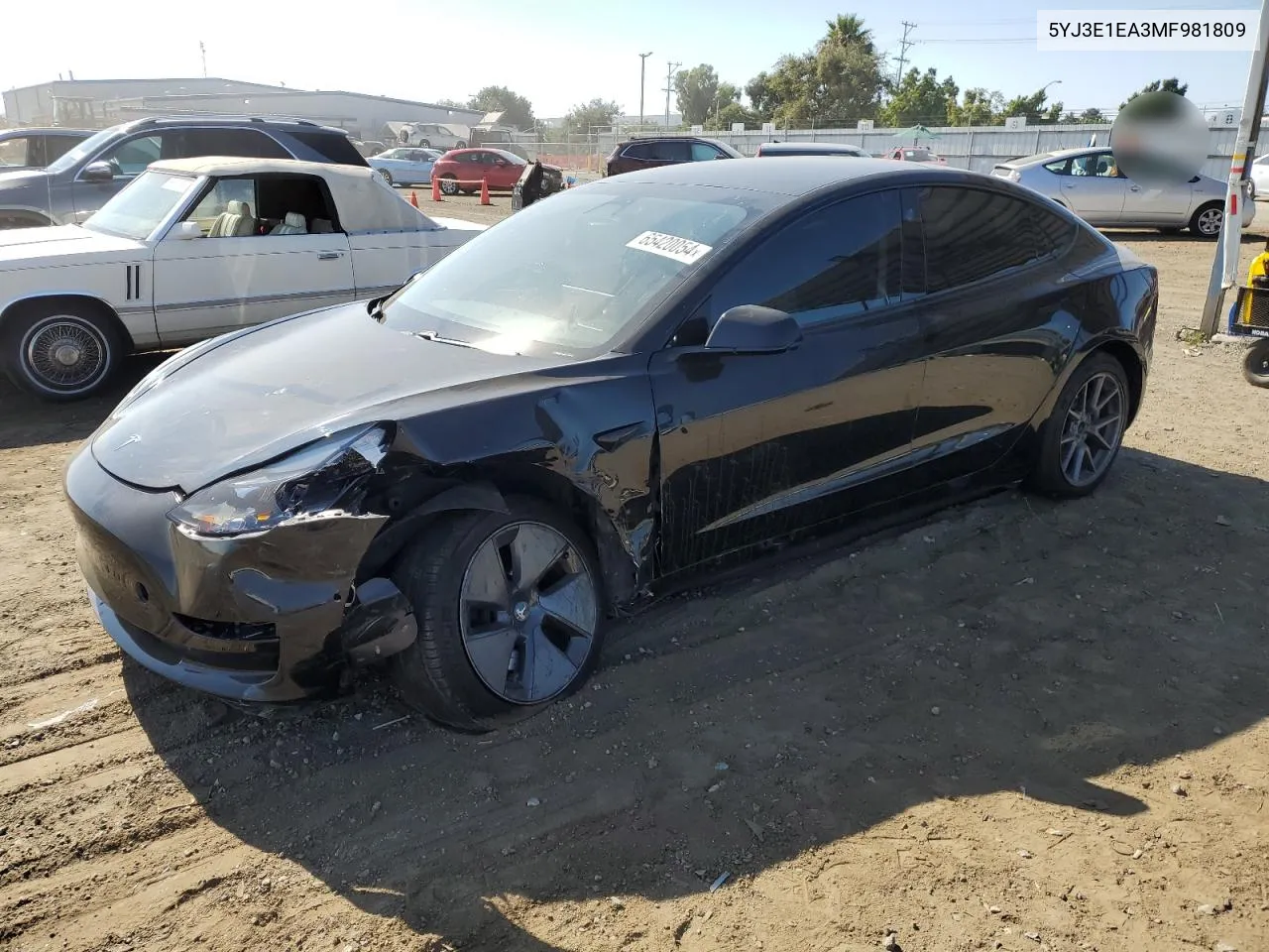 2021 Tesla Model 3 VIN: 5YJ3E1EA3MF981809 Lot: 65420054