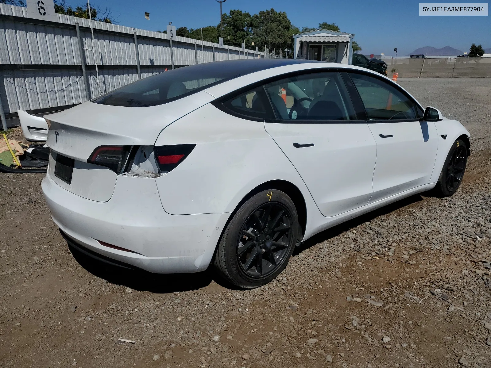 2021 Tesla Model 3 VIN: 5YJ3E1EA3MF877904 Lot: 65646404