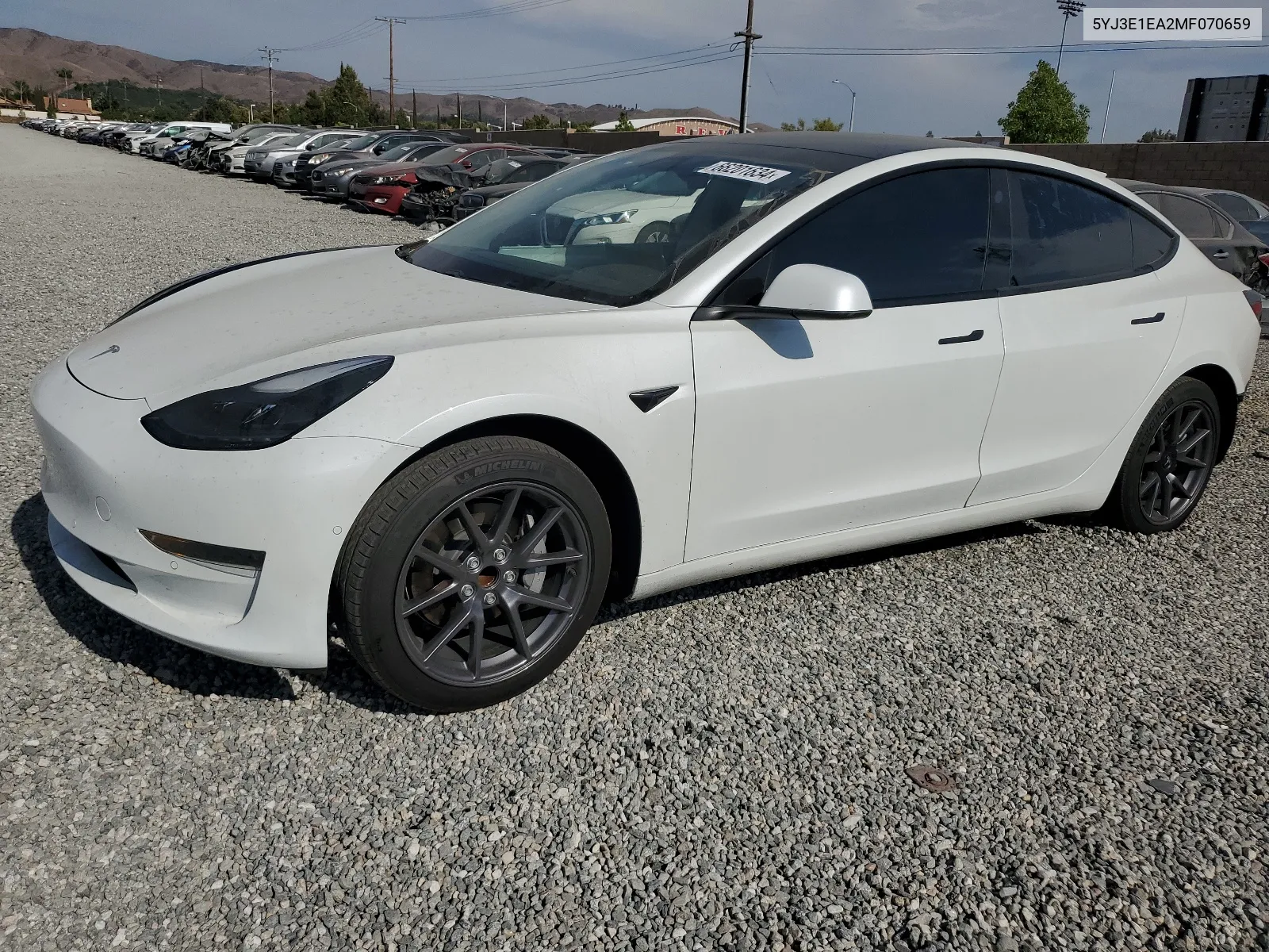 2021 Tesla Model 3 VIN: 5YJ3E1EA2MF070659 Lot: 66201634