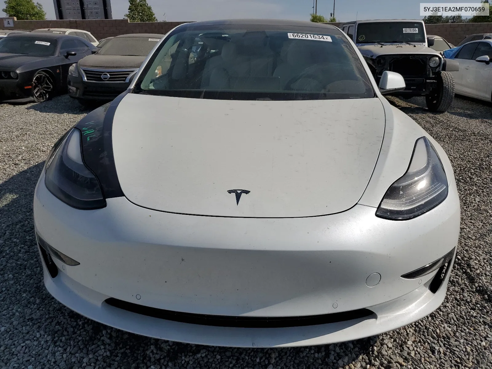 2021 Tesla Model 3 VIN: 5YJ3E1EA2MF070659 Lot: 66201634