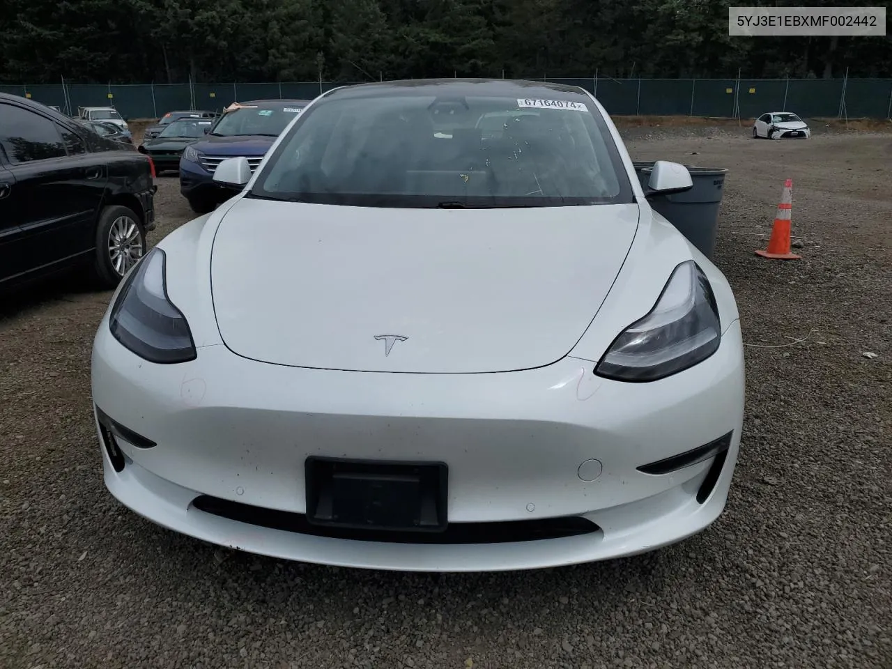 2021 Tesla Model 3 VIN: 5YJ3E1EBXMF002442 Lot: 67164074