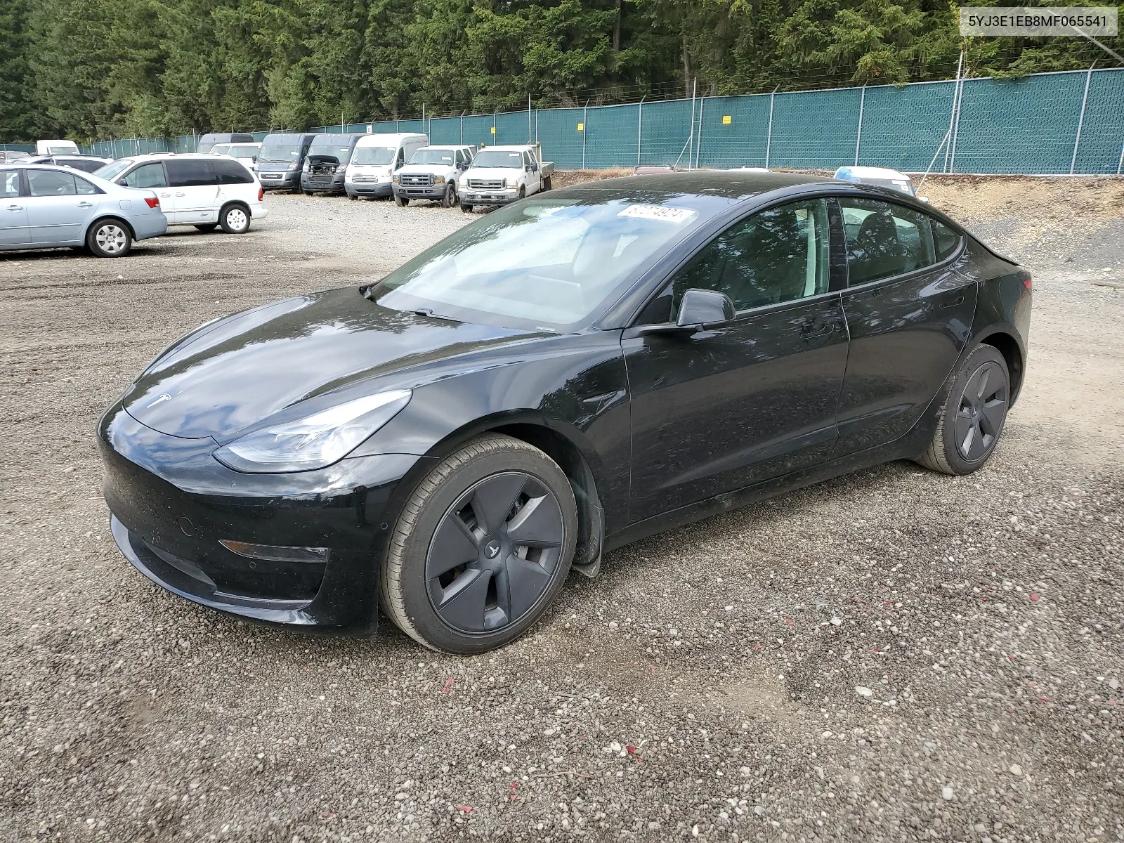 5YJ3E1EB8MF065541 2021 Tesla Model 3