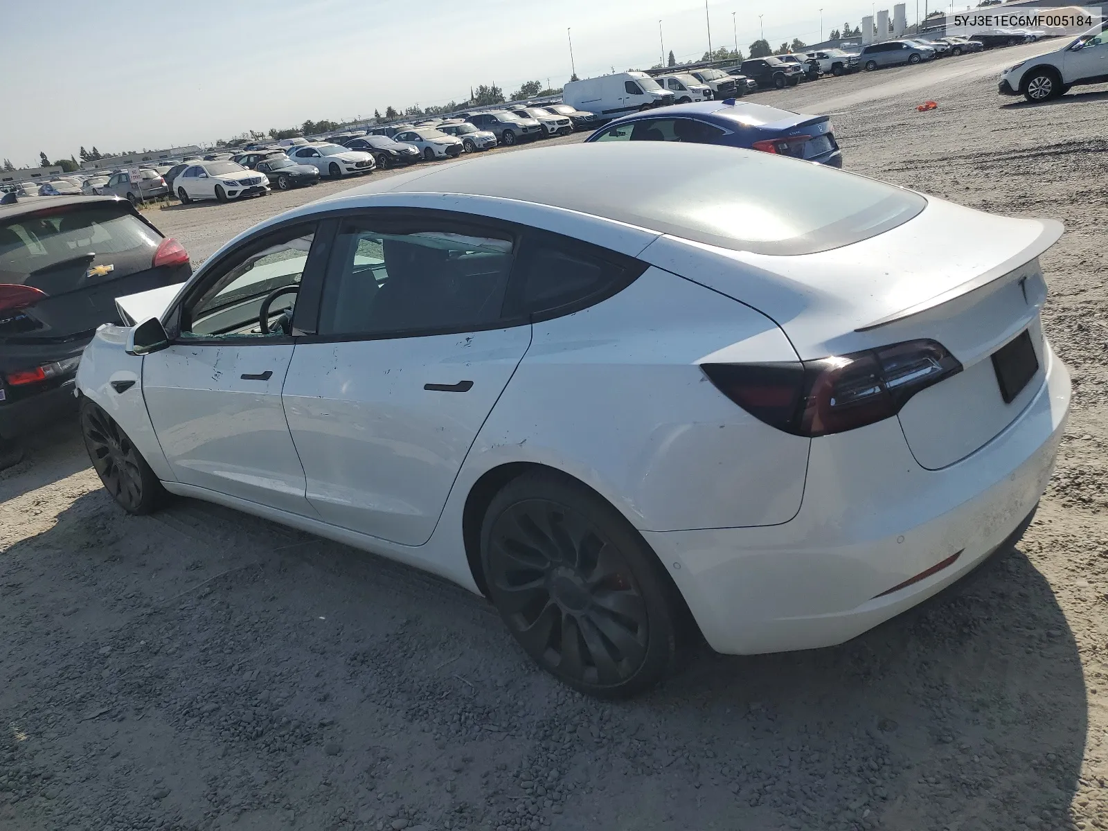 2021 Tesla Model 3 VIN: 5YJ3E1EC6MF005184 Lot: 68257214