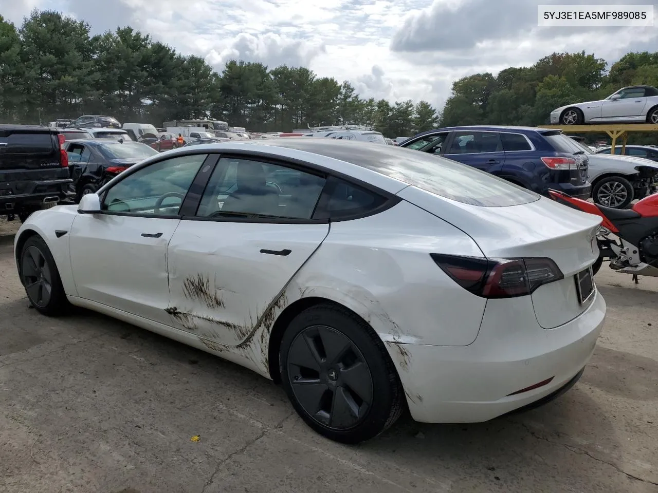 2021 Tesla Model 3 VIN: 5YJ3E1EA5MF989085 Lot: 71300974