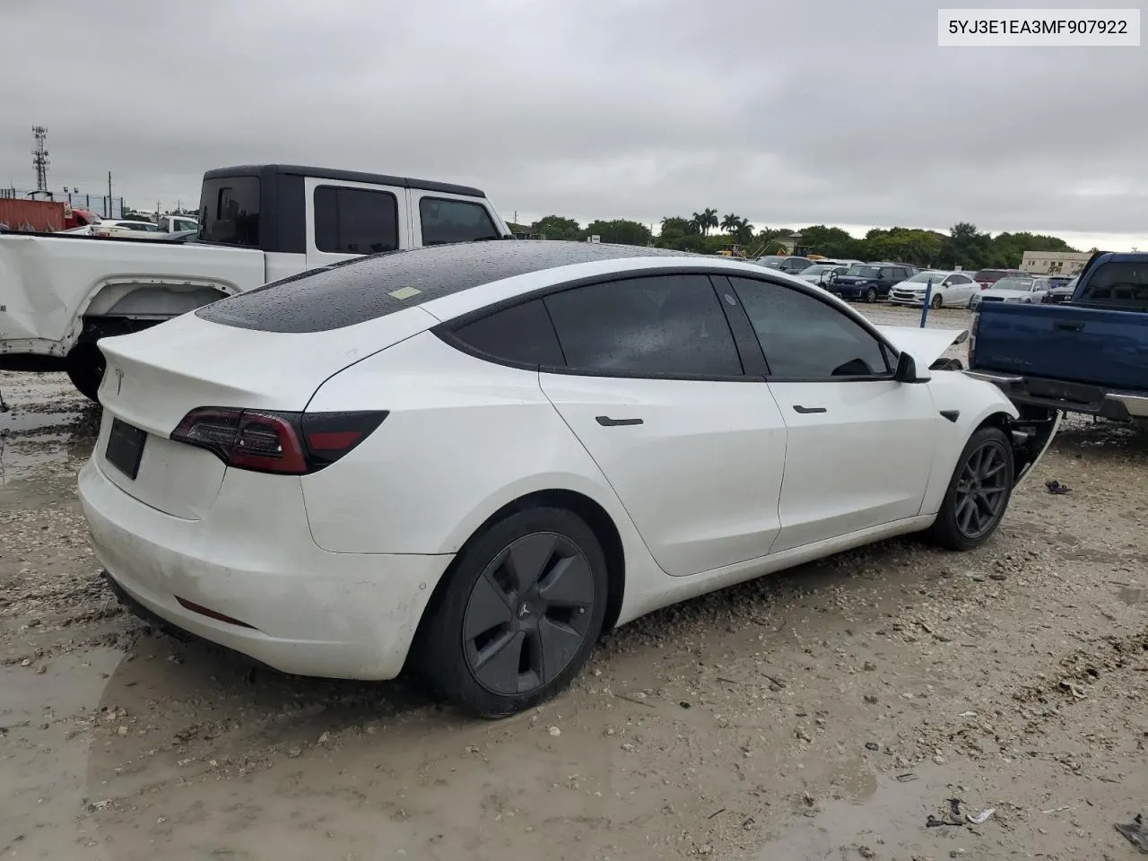 2021 Tesla Model 3 VIN: 5YJ3E1EA3MF907922 Lot: 74438234