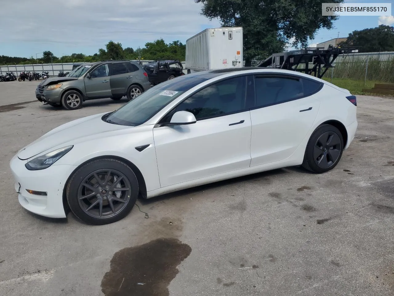 2021 Tesla Model 3 VIN: 5YJ3E1EB5MF855170 Lot: 74729994