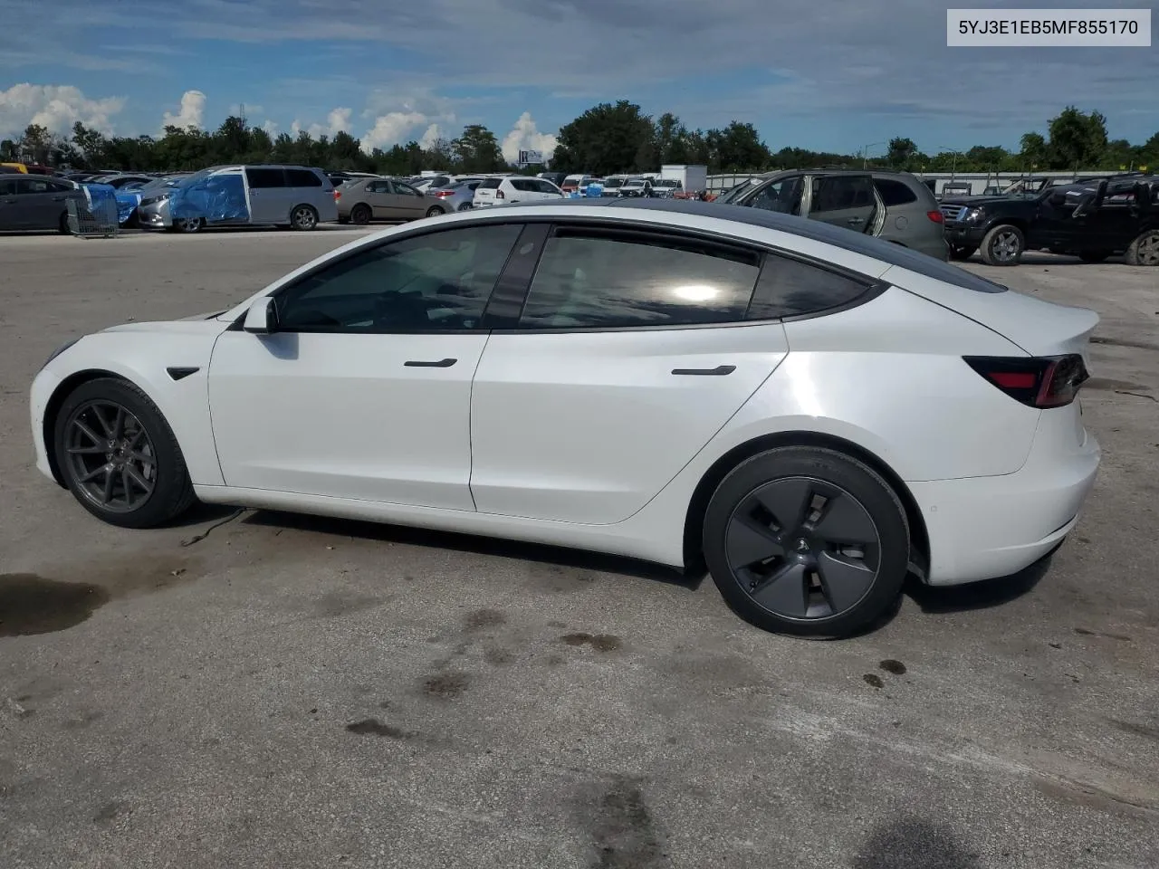 2021 Tesla Model 3 VIN: 5YJ3E1EB5MF855170 Lot: 74729994