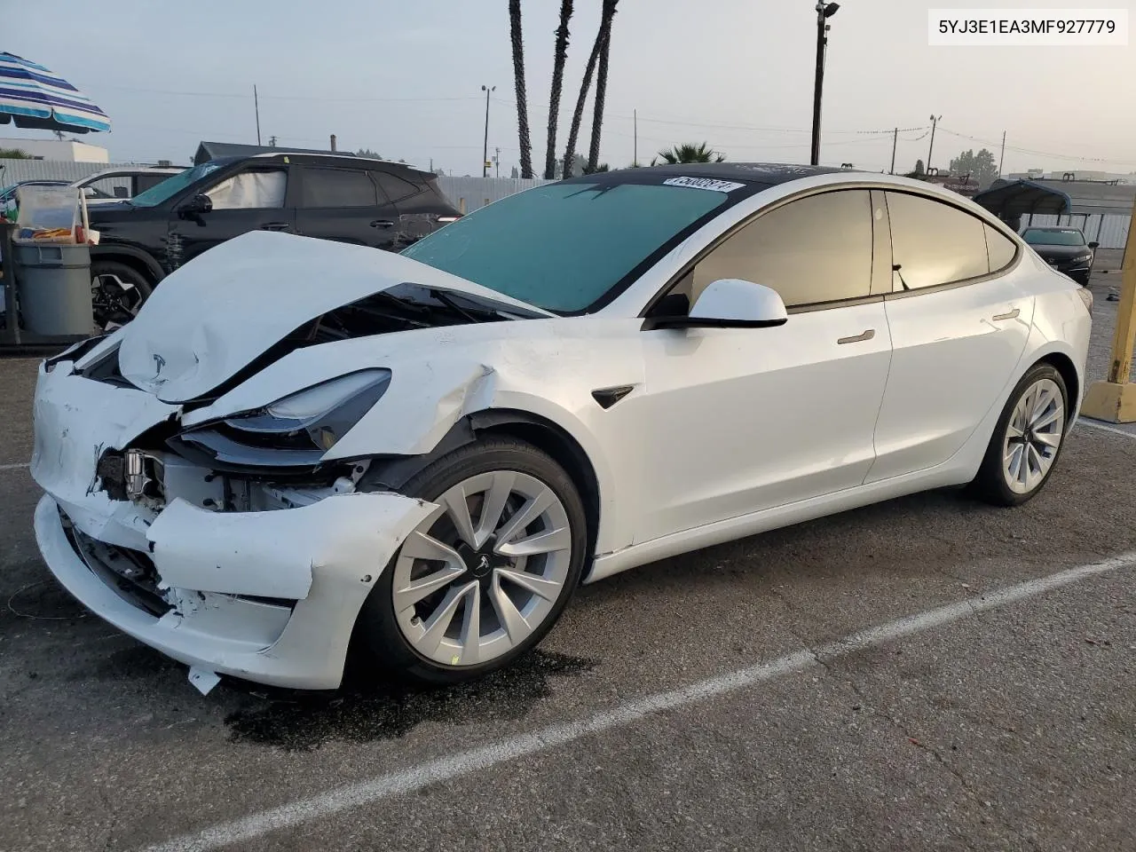 2021 Tesla Model 3 VIN: 5YJ3E1EA3MF927779 Lot: 75002874