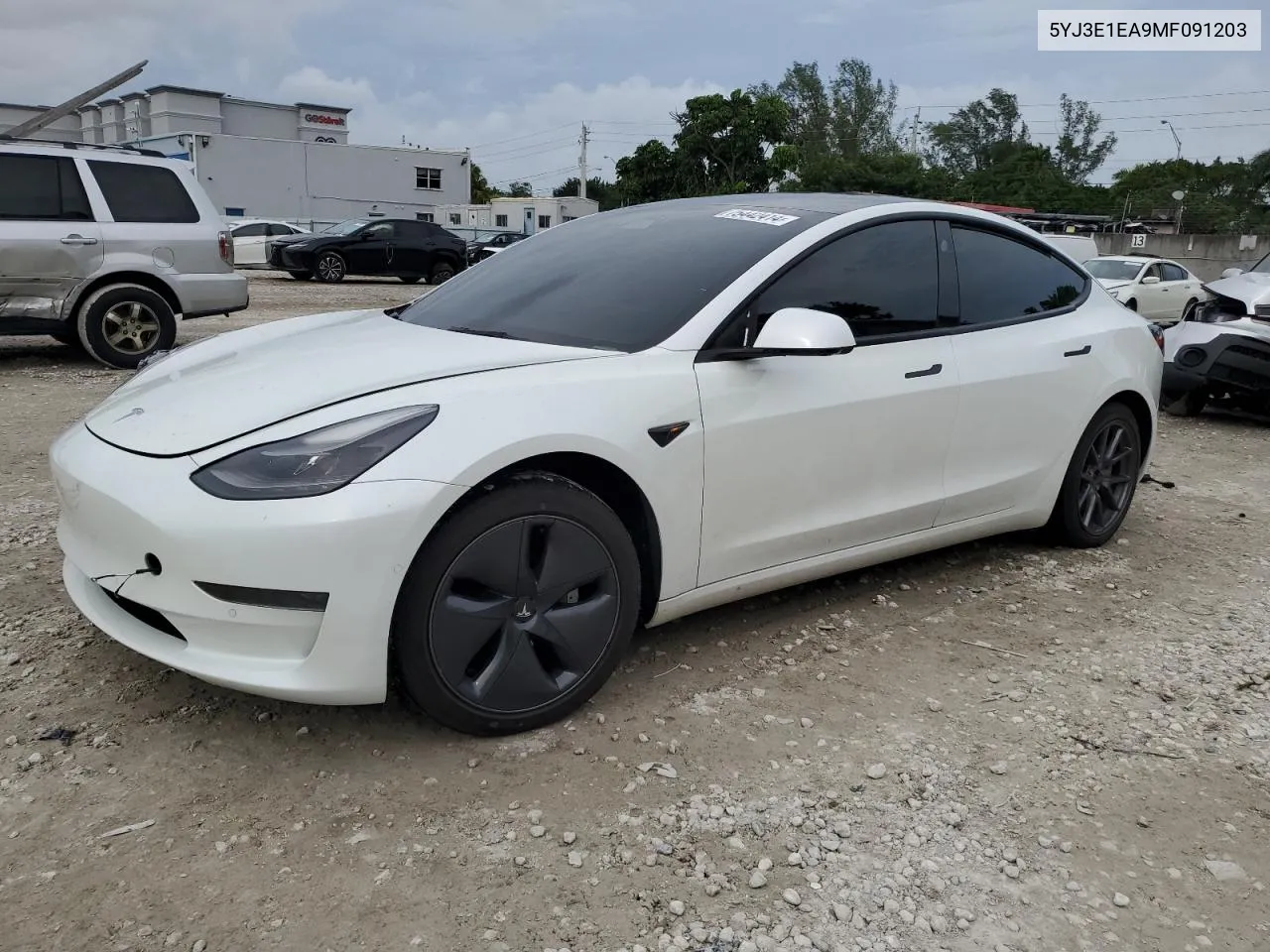 2021 Tesla Model 3 VIN: 5YJ3E1EA9MF091203 Lot: 75442414