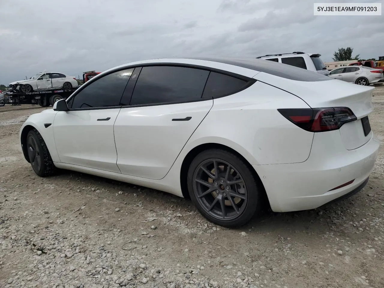 2021 Tesla Model 3 VIN: 5YJ3E1EA9MF091203 Lot: 75442414