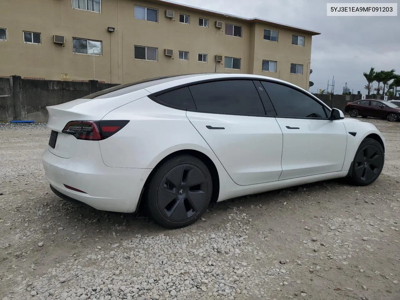 2021 Tesla Model 3 VIN: 5YJ3E1EA9MF091203 Lot: 75442414