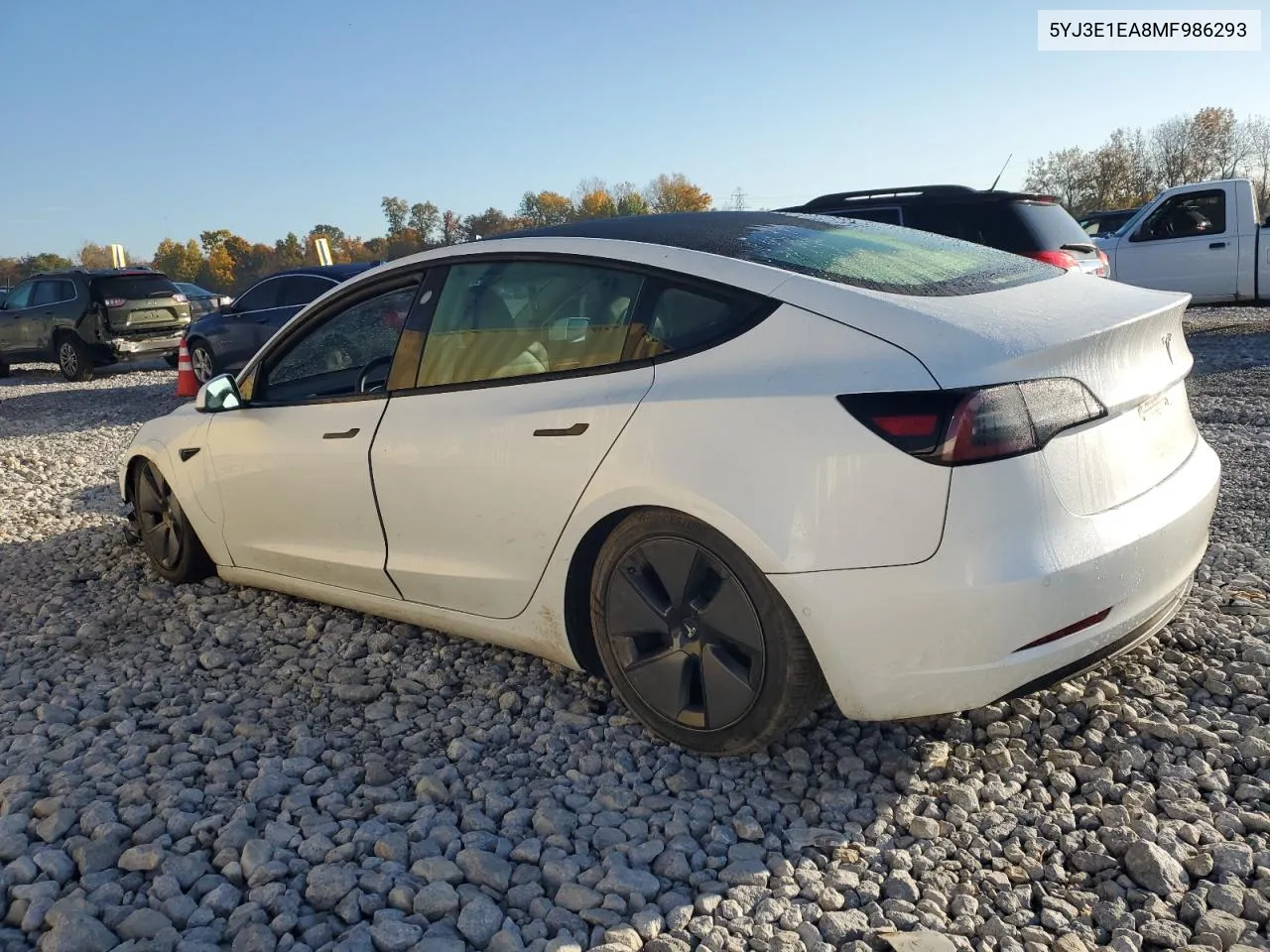 2021 Tesla Model 3 VIN: 5YJ3E1EA8MF986293 Lot: 77065854