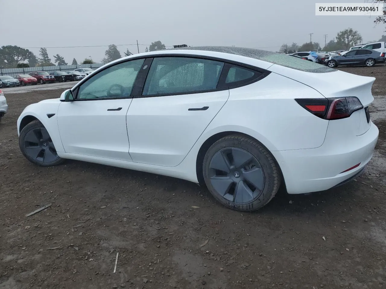 2021 Tesla Model 3 VIN: 5YJ3E1EA9MF930461 Lot: 79028074