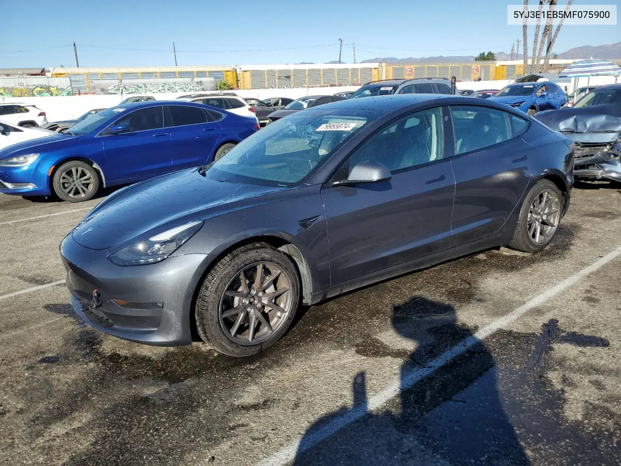 2021 Tesla Model 3 VIN: 5YJ3E1EB5MF075900 Lot: 79955874