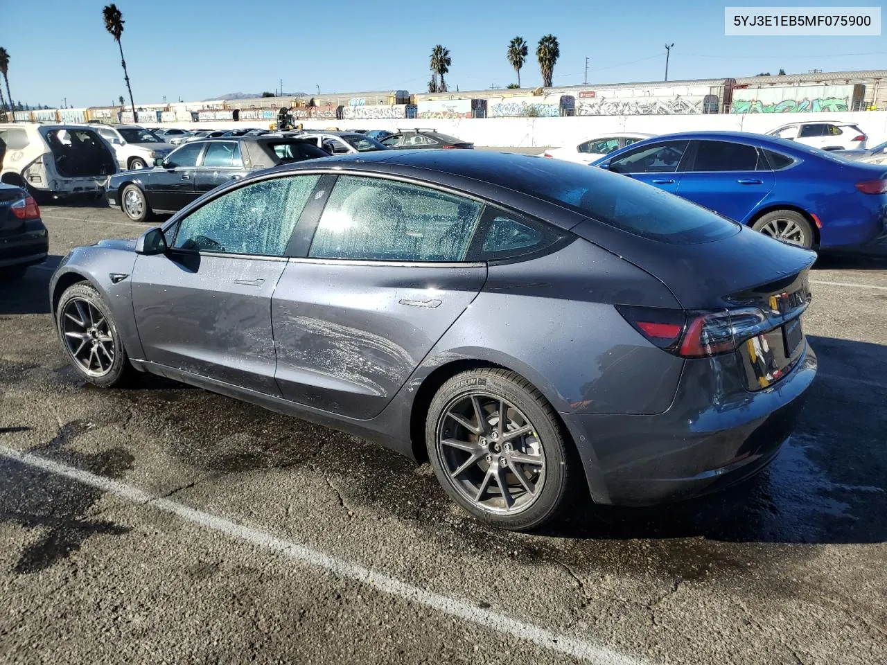 2021 Tesla Model 3 VIN: 5YJ3E1EB5MF075900 Lot: 79955874