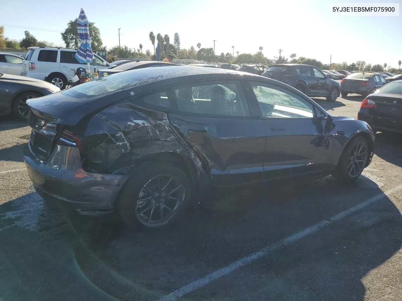 2021 Tesla Model 3 VIN: 5YJ3E1EB5MF075900 Lot: 79955874