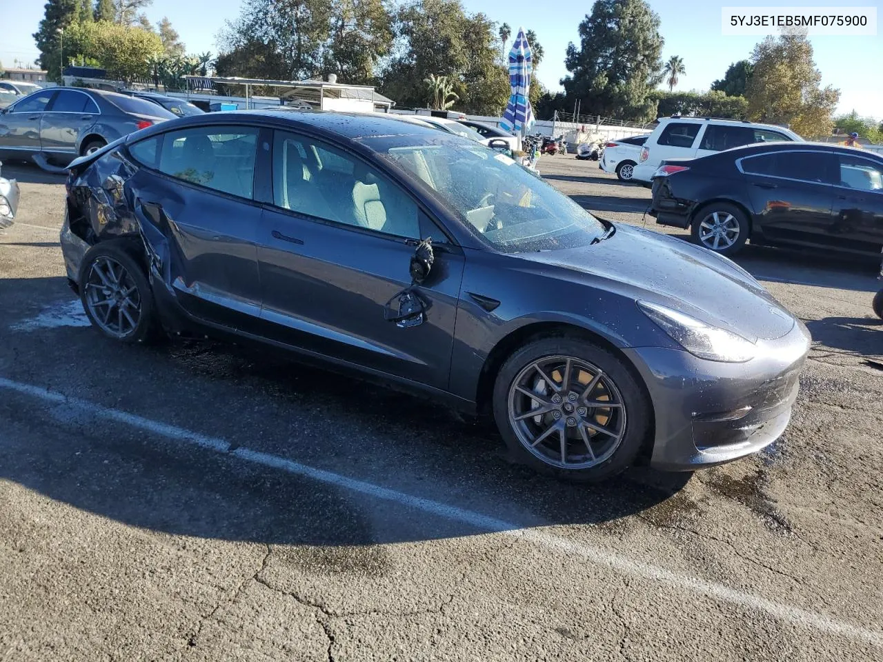 2021 Tesla Model 3 VIN: 5YJ3E1EB5MF075900 Lot: 79955874