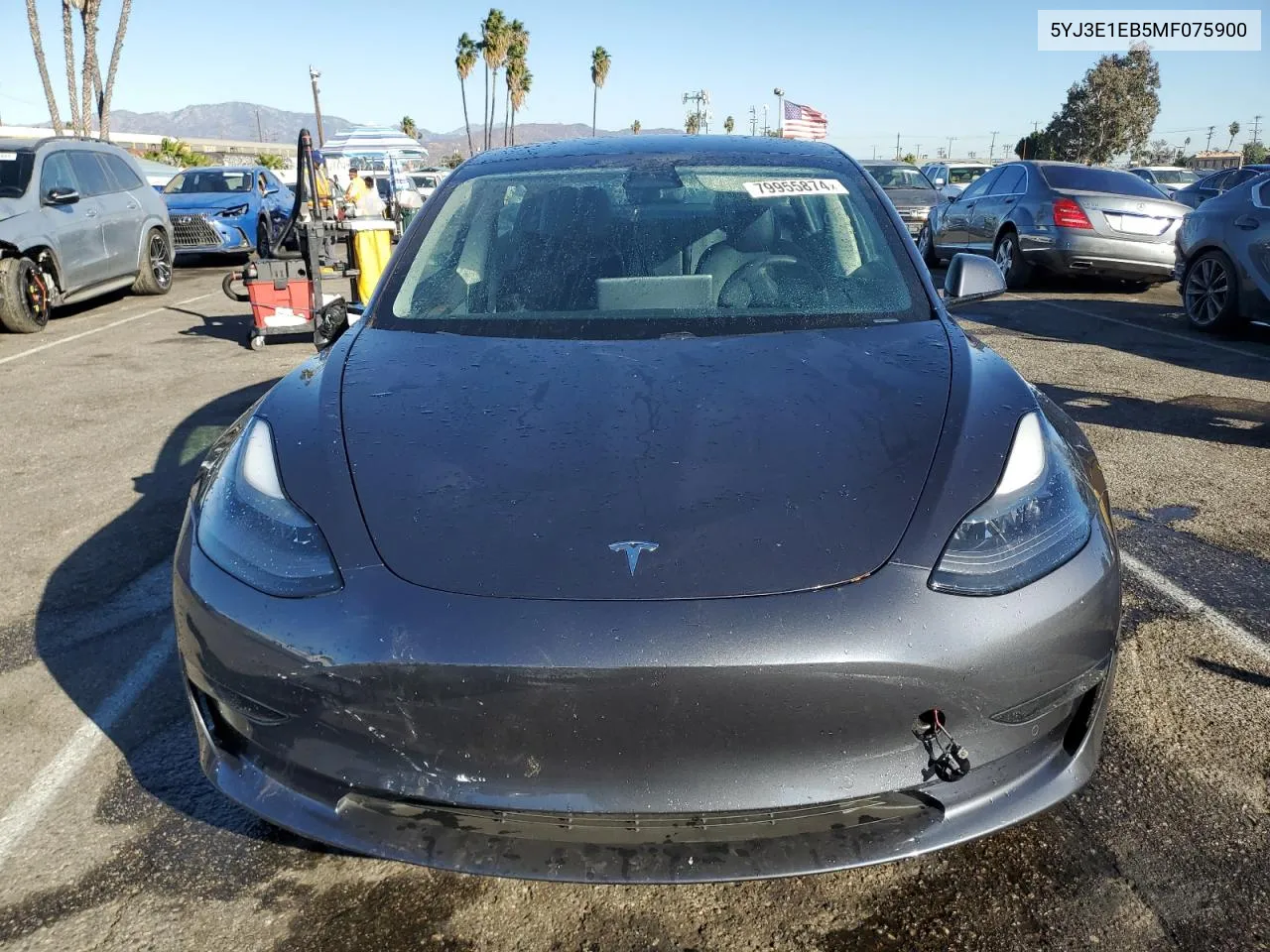 2021 Tesla Model 3 VIN: 5YJ3E1EB5MF075900 Lot: 79955874