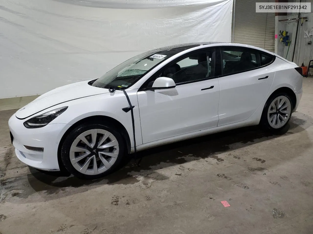 2022 Tesla Model 3 VIN: 5YJ3E1EB1NF291342 Lot: 37122054