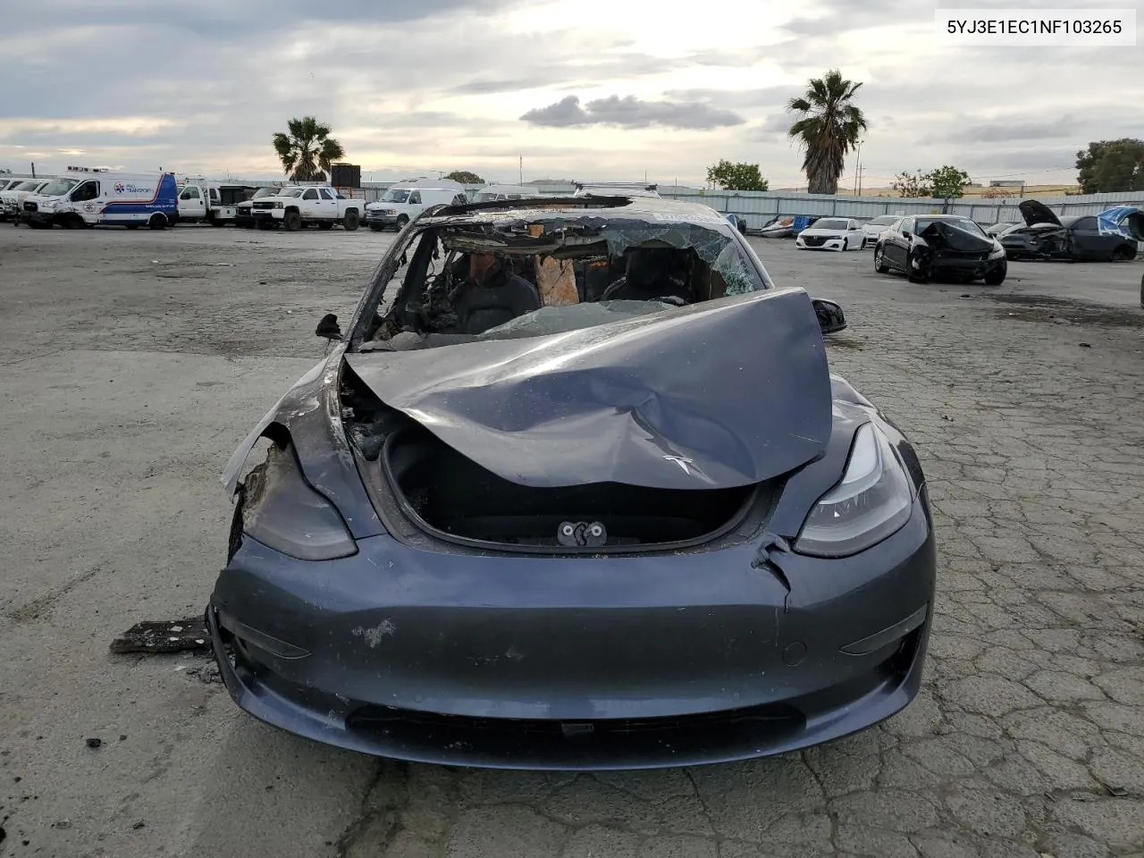 2022 Tesla Model 3 VIN: 5YJ3E1EC1NF103265 Lot: 57093334