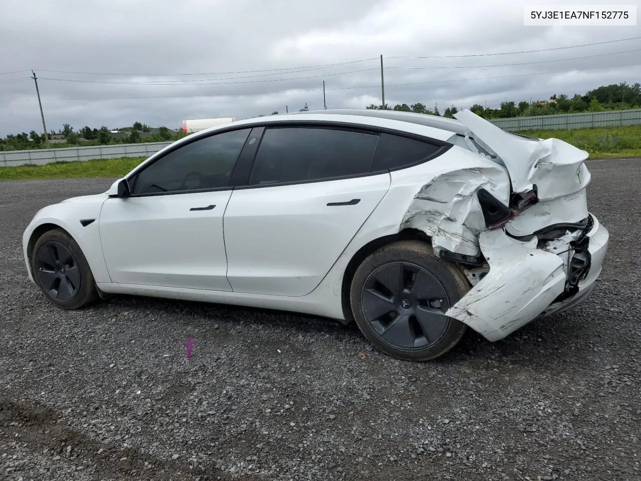 2022 Tesla Model 3 VIN: 5YJ3E1EA7NF152775 Lot: 57698364