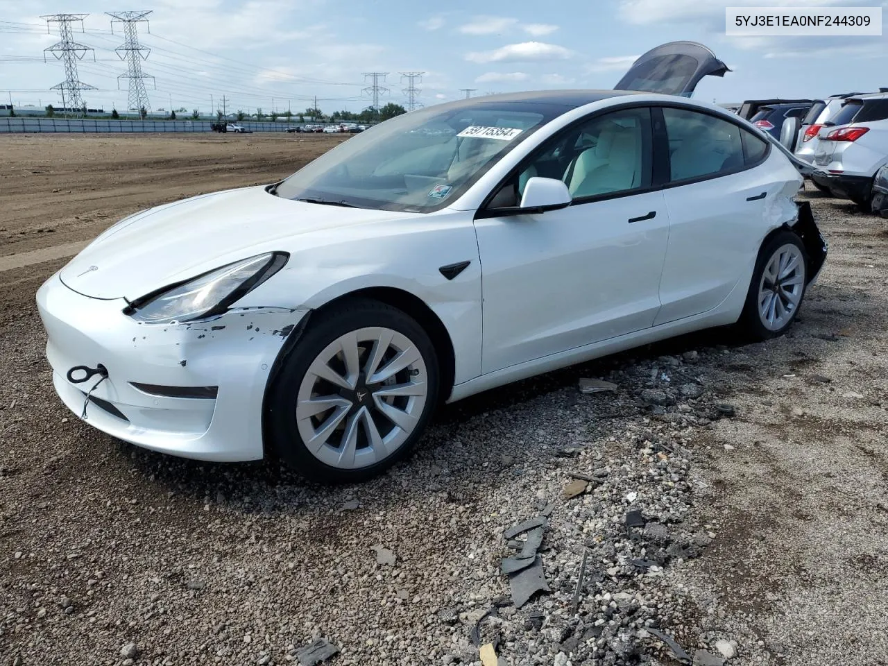 2022 Tesla Model 3 VIN: 5YJ3E1EA0NF244309 Lot: 59715354