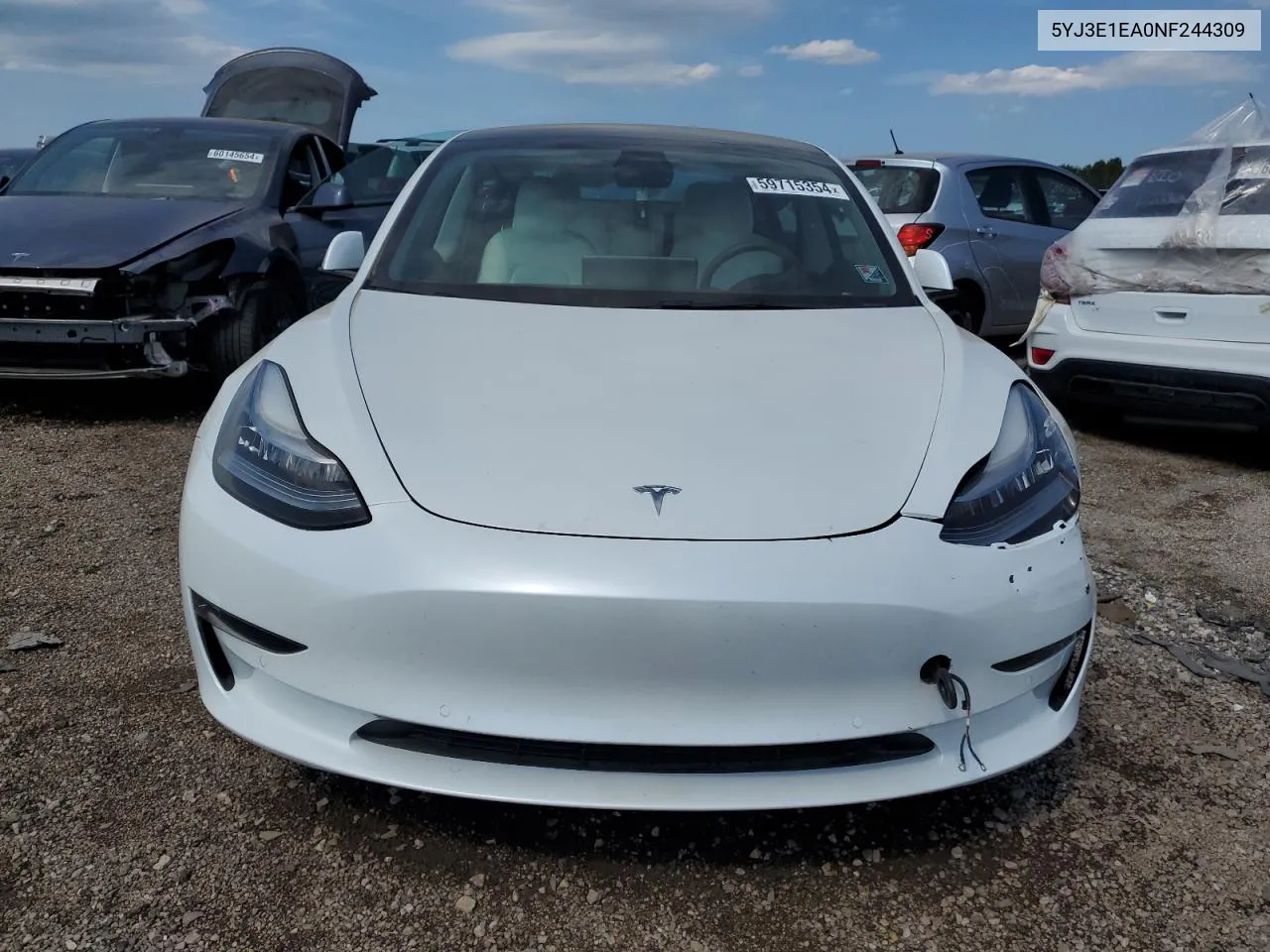 2022 Tesla Model 3 VIN: 5YJ3E1EA0NF244309 Lot: 59715354