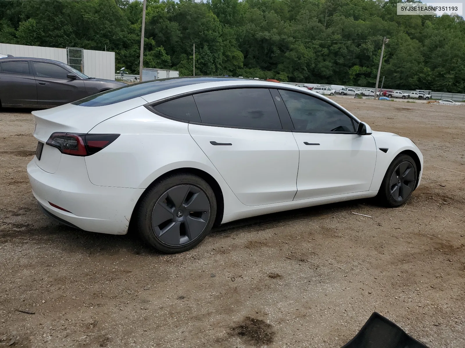 2022 Tesla Model 3 VIN: 5YJ3E1EA5NF351193 Lot: 62250604