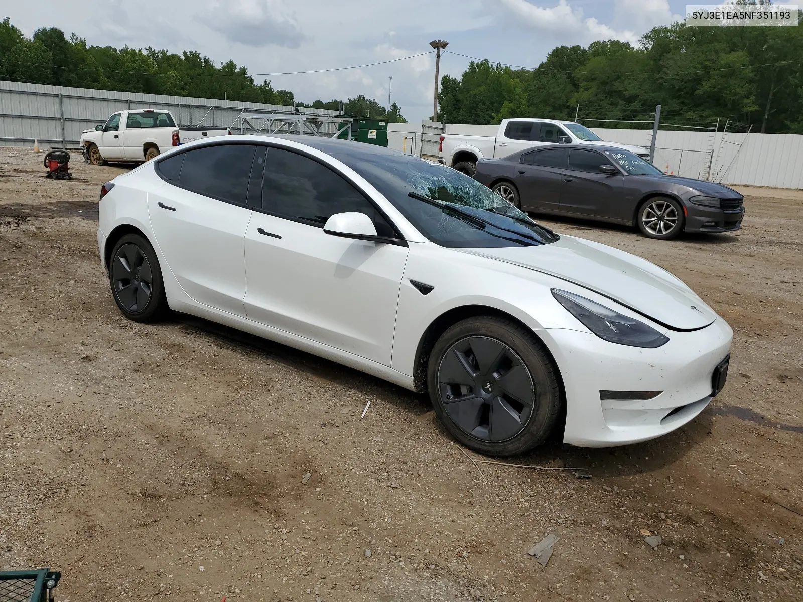 2022 Tesla Model 3 VIN: 5YJ3E1EA5NF351193 Lot: 62250604