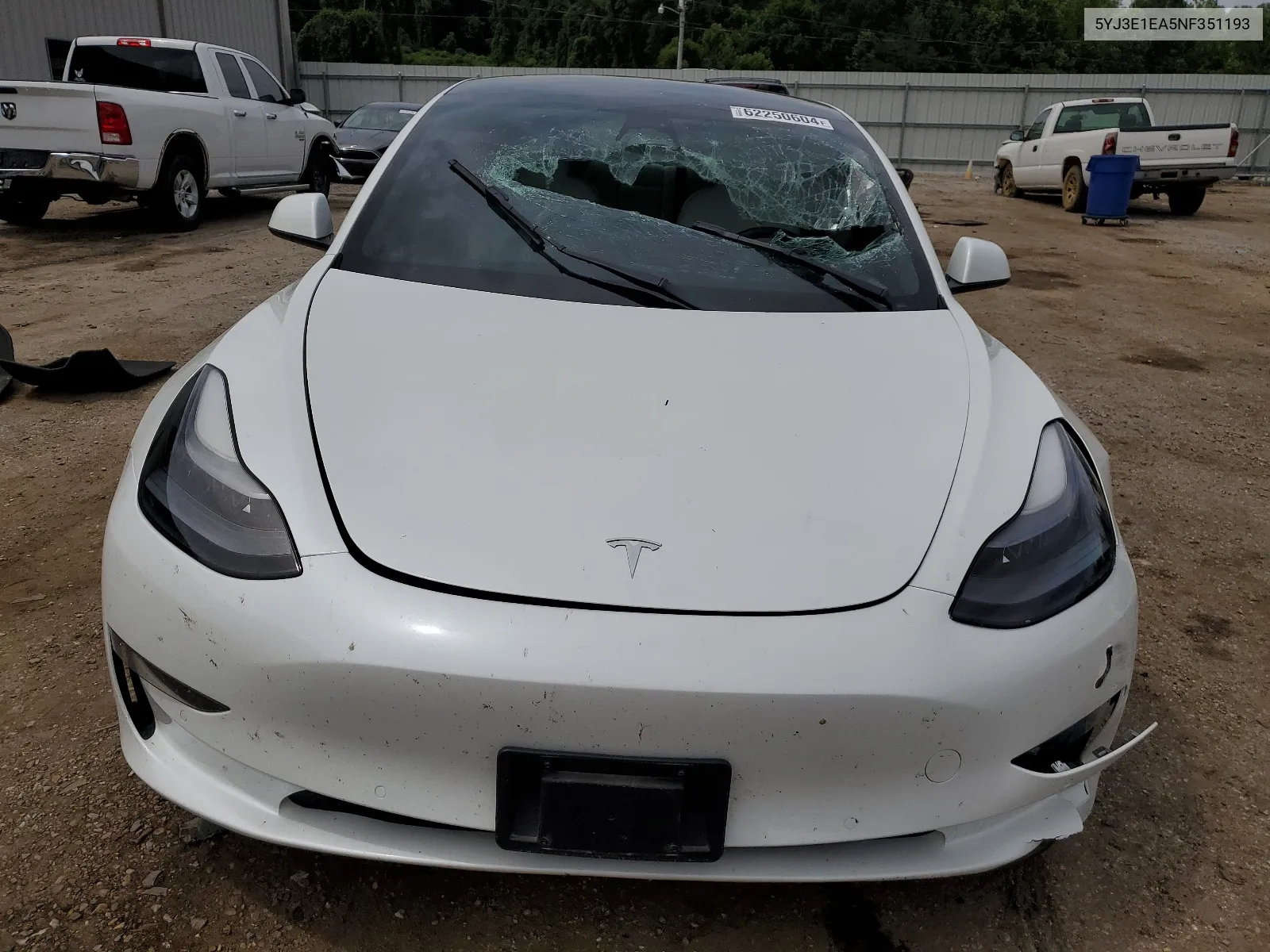 2022 Tesla Model 3 VIN: 5YJ3E1EA5NF351193 Lot: 62250604