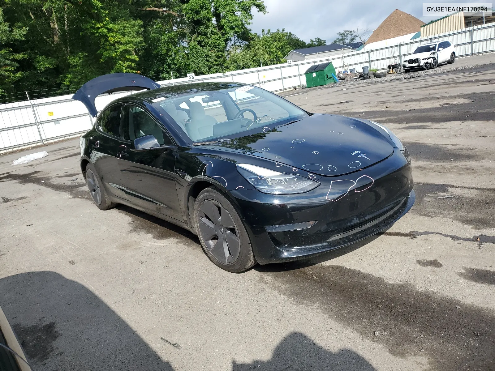 2022 Tesla Model 3 VIN: 5YJ3E1EA4NF170294 Lot: 63216064