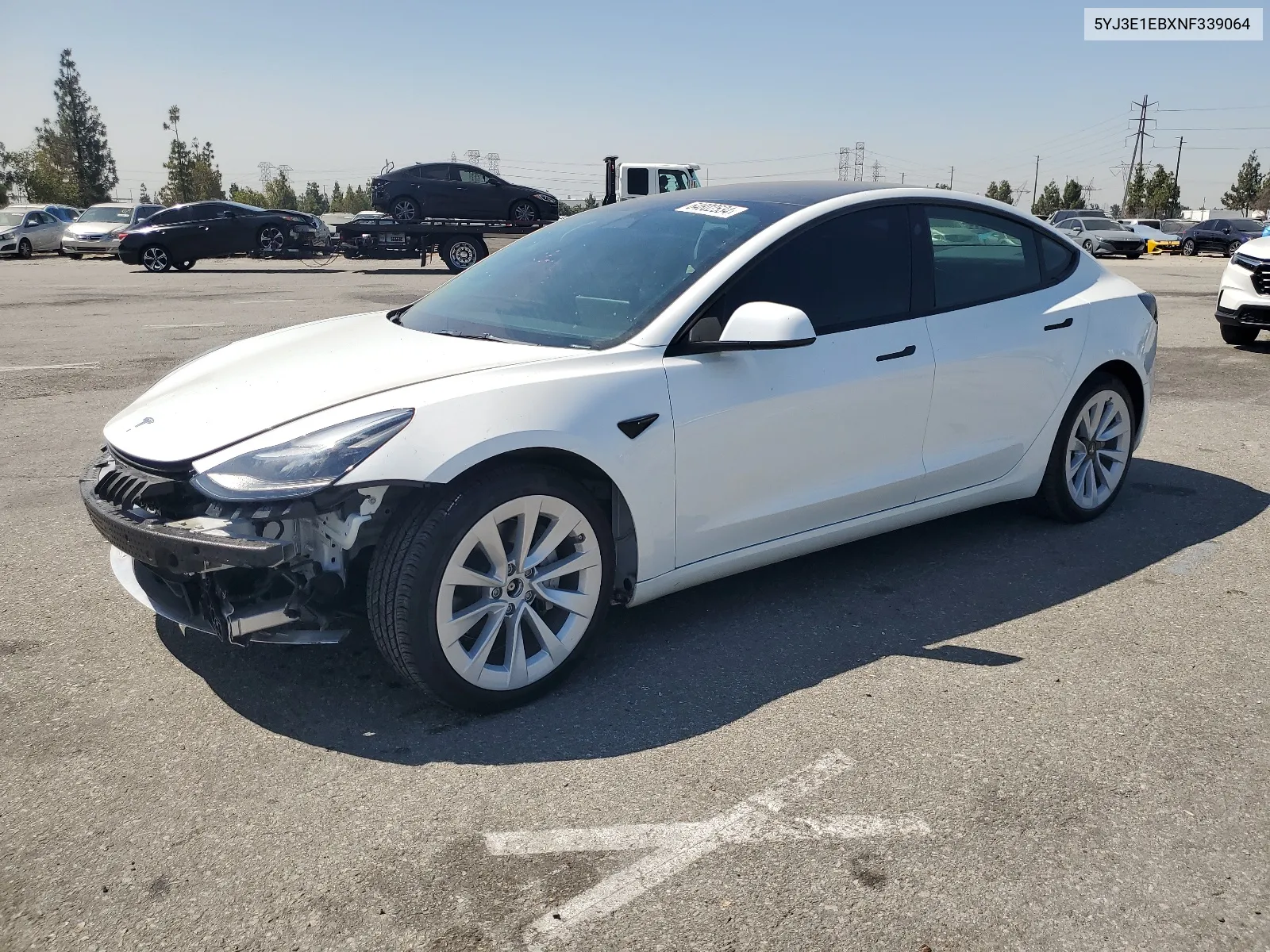 2022 Tesla Model 3 VIN: 5YJ3E1EBXNF339064 Lot: 64802534