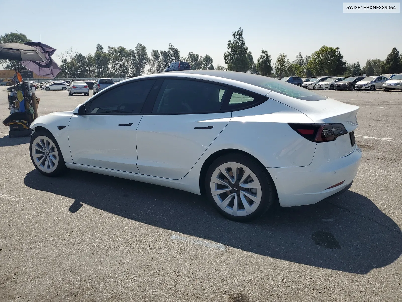 2022 Tesla Model 3 VIN: 5YJ3E1EBXNF339064 Lot: 64802534