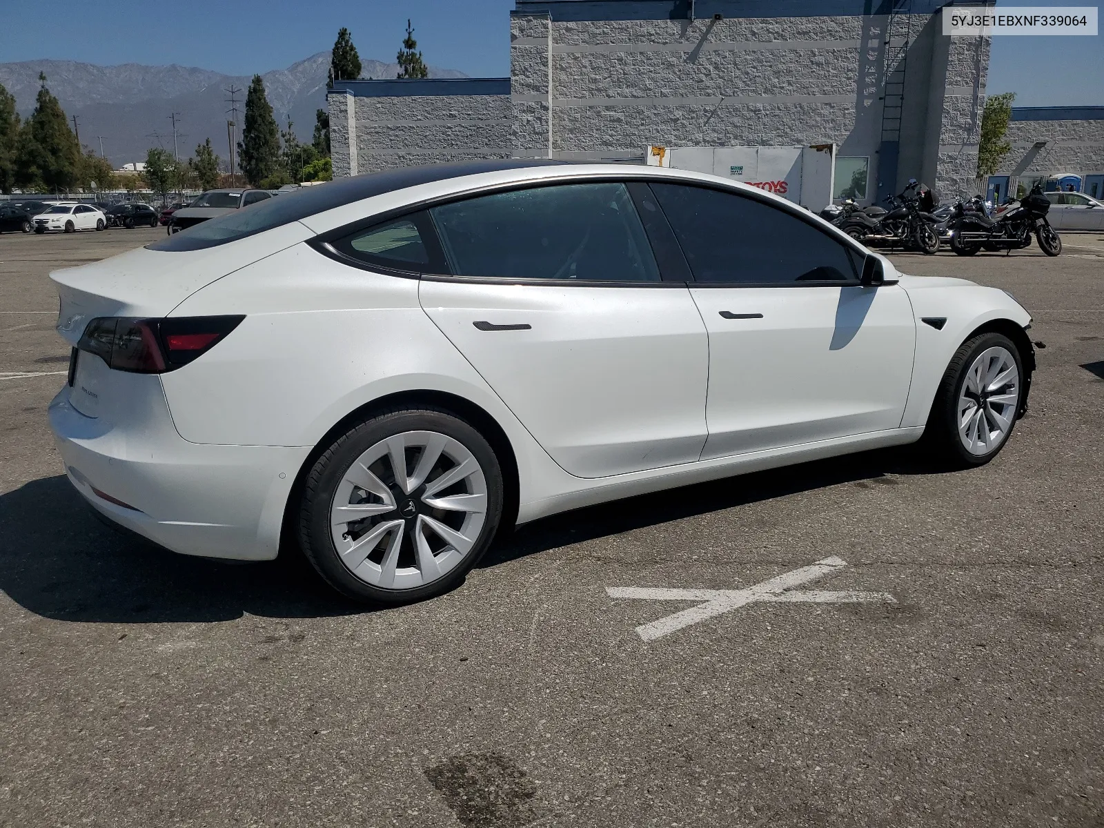 2022 Tesla Model 3 VIN: 5YJ3E1EBXNF339064 Lot: 64802534