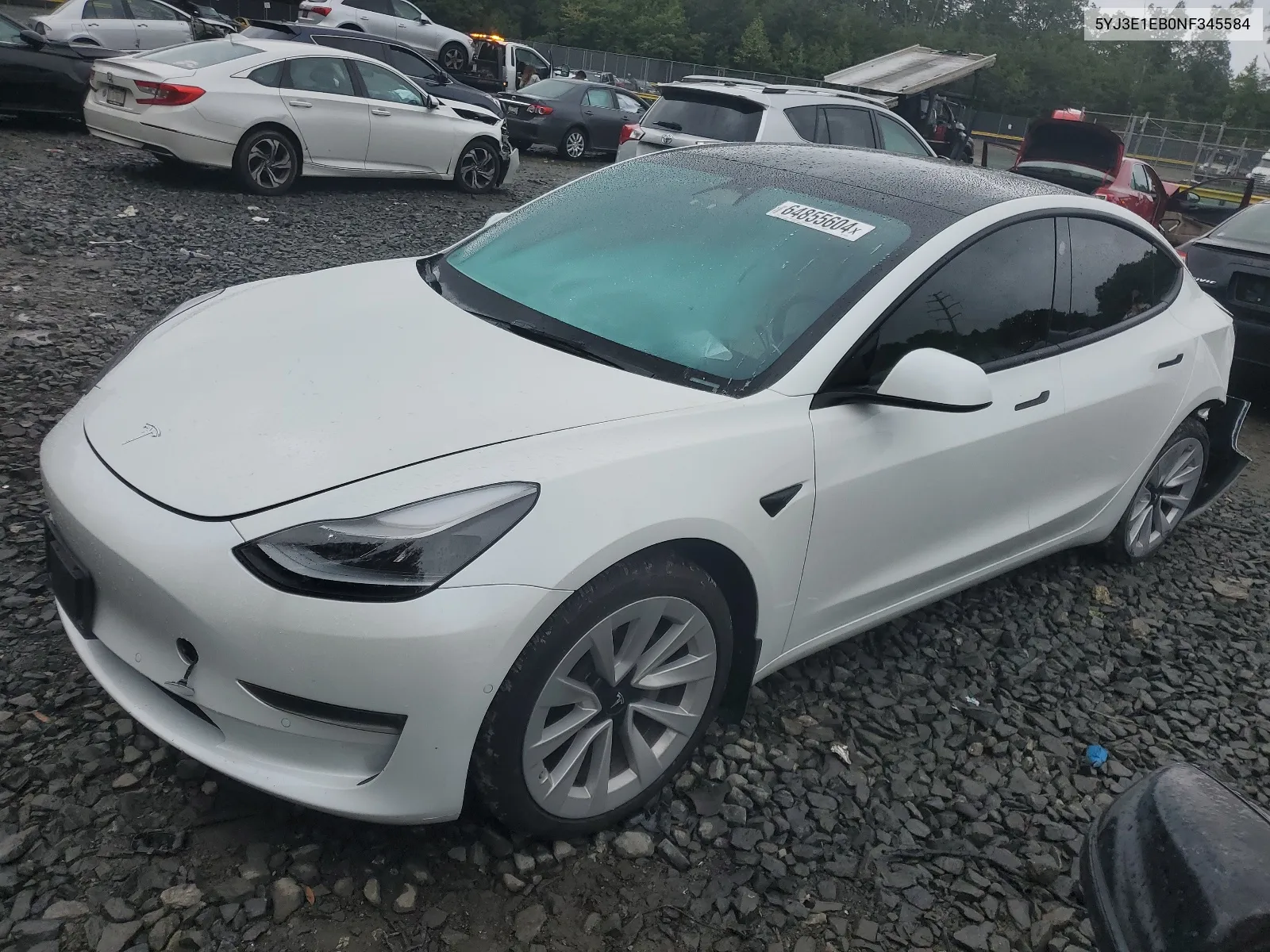 2022 Tesla Model 3 VIN: 5YJ3E1EB0NF345584 Lot: 64855604