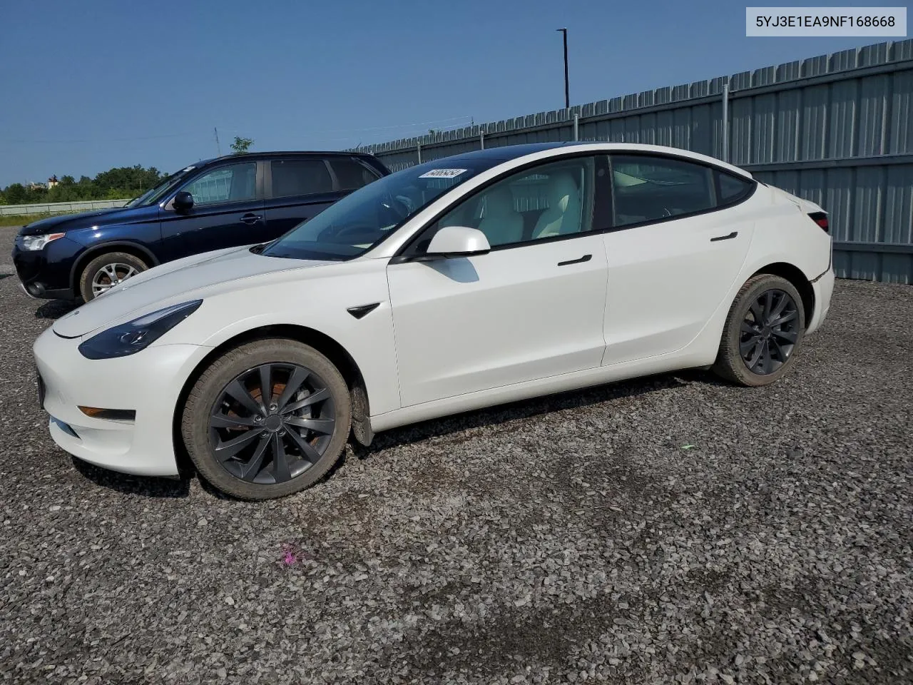 2022 Tesla Model 3 VIN: 5YJ3E1EA9NF168668 Lot: 64865454