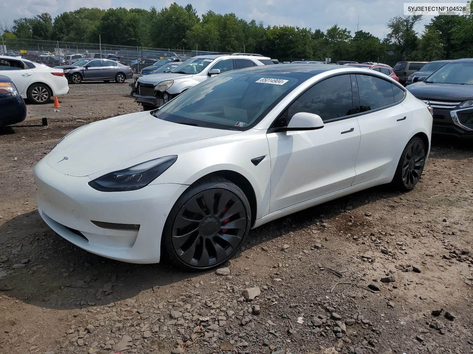 2022 Tesla Model 3 VIN: 5YJ3E1EC1NF104528 Lot: 65014904