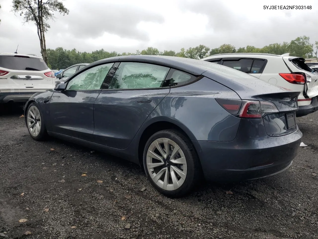 2022 Tesla Model 3 VIN: 5YJ3E1EA2NF303148 Lot: 65435954