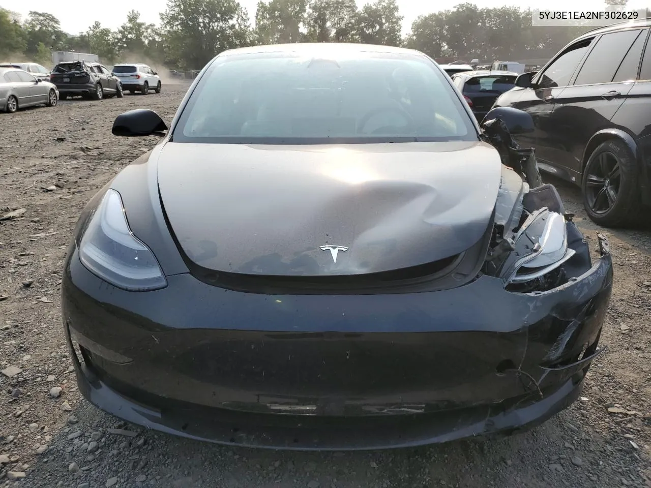 2022 Tesla Model 3 VIN: 5YJ3E1EA2NF302629 Lot: 66206214