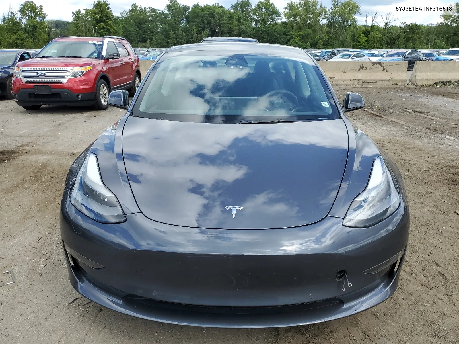 2022 Tesla Model 3 VIN: 5YJ3E1EA1NF316618 Lot: 67598954