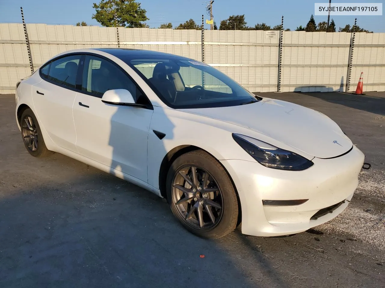 2022 Tesla Model 3 VIN: 5YJ3E1EA0NF197105 Lot: 69416094